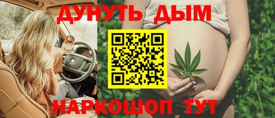 шишки Обнинск