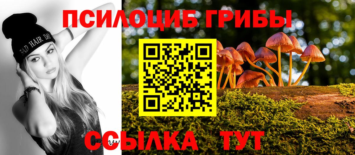 Псилоцибиновые грибы GOLDEN TEACHER  Вход с VPN  Семилуки 