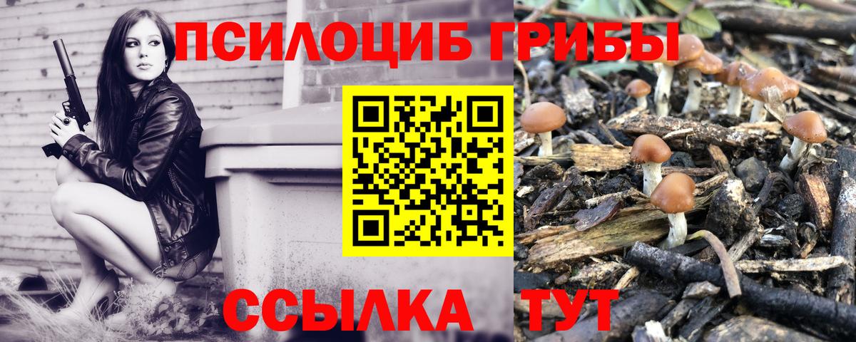 Псилоцибиновые грибы прущие грибы Семилуки